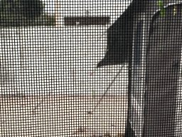 075-14-12-2025 QFYB9532